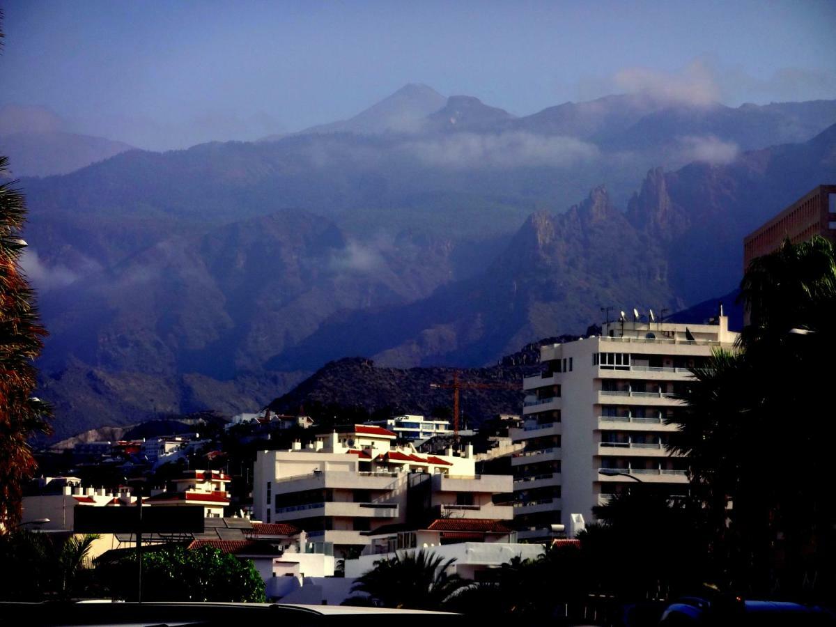 Spotless South Facing Apartment With Pool View And Wifi Heart Of Las Americas 美洲海滩 外观 照片